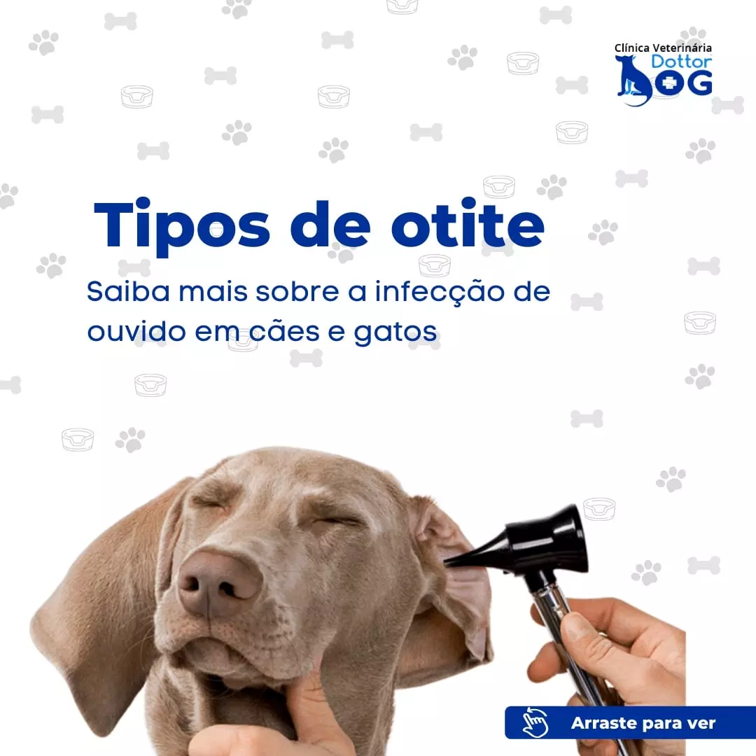 SAIBA MAIS  SOBRE OTITE  EM CÃES E GATOS